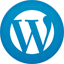 SEO Services Mumbai Wordpress