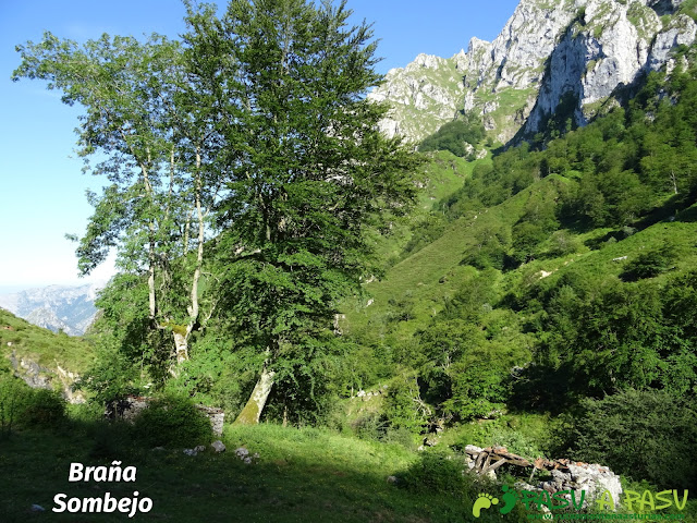 Ruta al Cueto Cerralosa y Jajao: Braña Sombejo