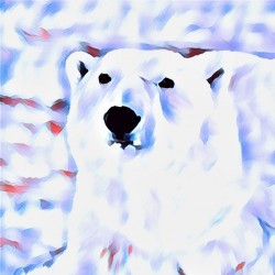 Winterbrook acaba de lançar a deliciosa Polar Bear For Christmas
