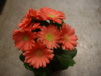 diseno de jardines fotos jardines jardines