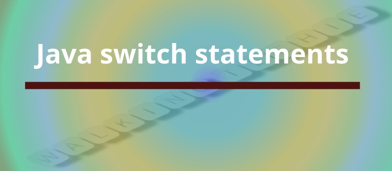 Switch statement in Java