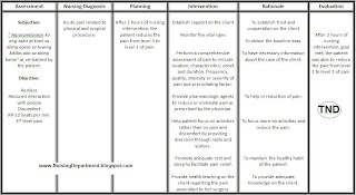 Nursing Care Plan : Acute pain related to physical and surgical 