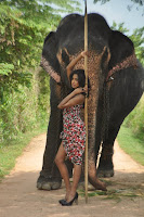 Lanka Hot Girl with Wild Elephant