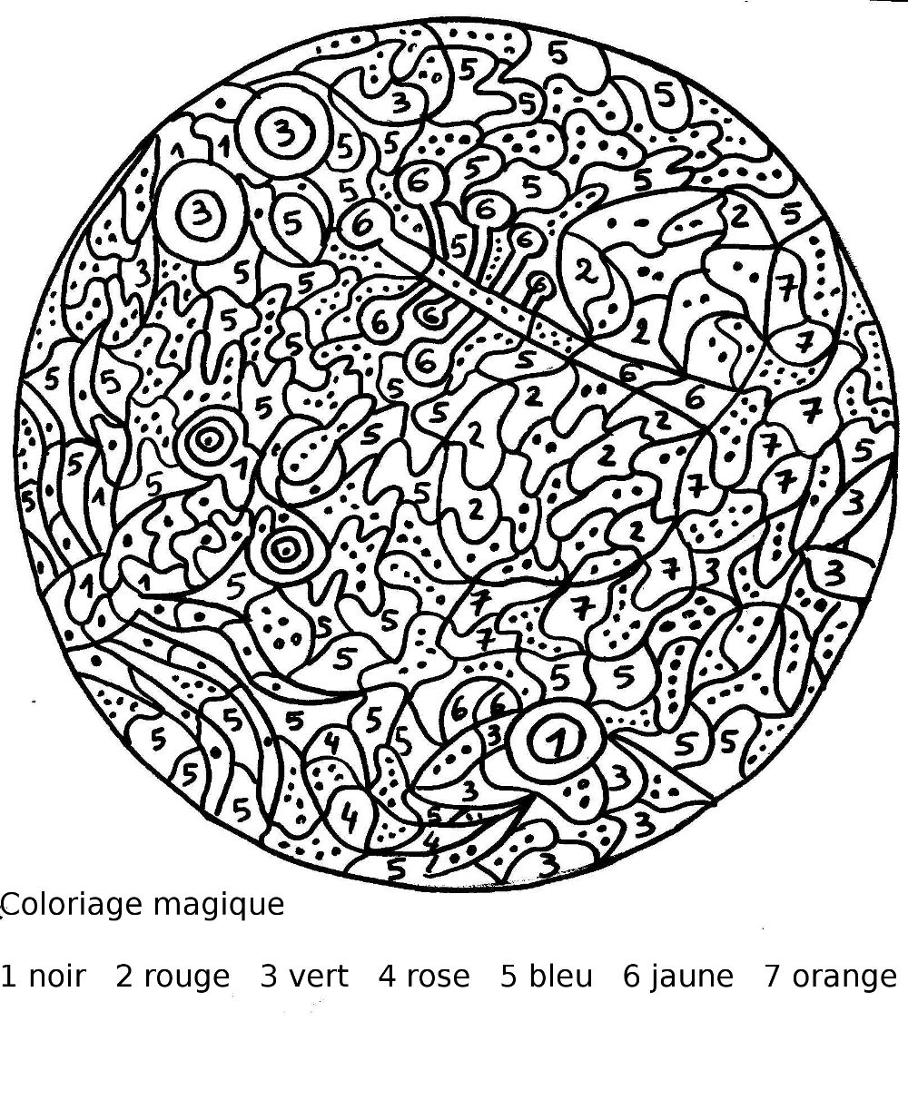 coloriage magique imprimer pour adulte