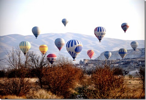 DSC_1100_Fotor