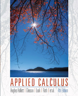 Applied Calculus 4th Edition