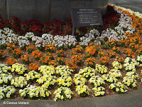 White, yellow and orange flower border near Tokyo Imperial Gardens, Japan