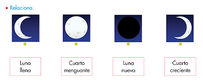 http://www.primerodecarlos.com/SEGUNDO_PRIMARIA/octubre/Anabel_F/universo/U03_061_03_AI-Fases_de_la_luna/visor.swf