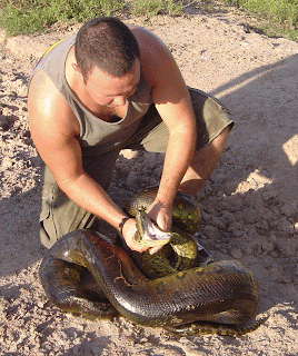 anacondas gigantes outline