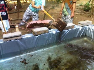  Pakan merupakan salah satu faktor yang sangat penting dalam budidaya binatang ternak Pakan Lele Organik dan Cara Pembuatannya