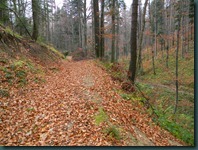 DSCN2202