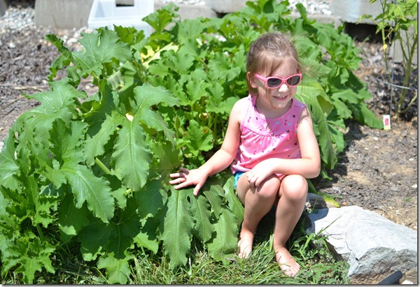 kinleepumpkinplant