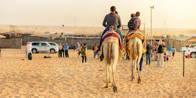 Dubai Desert Safari