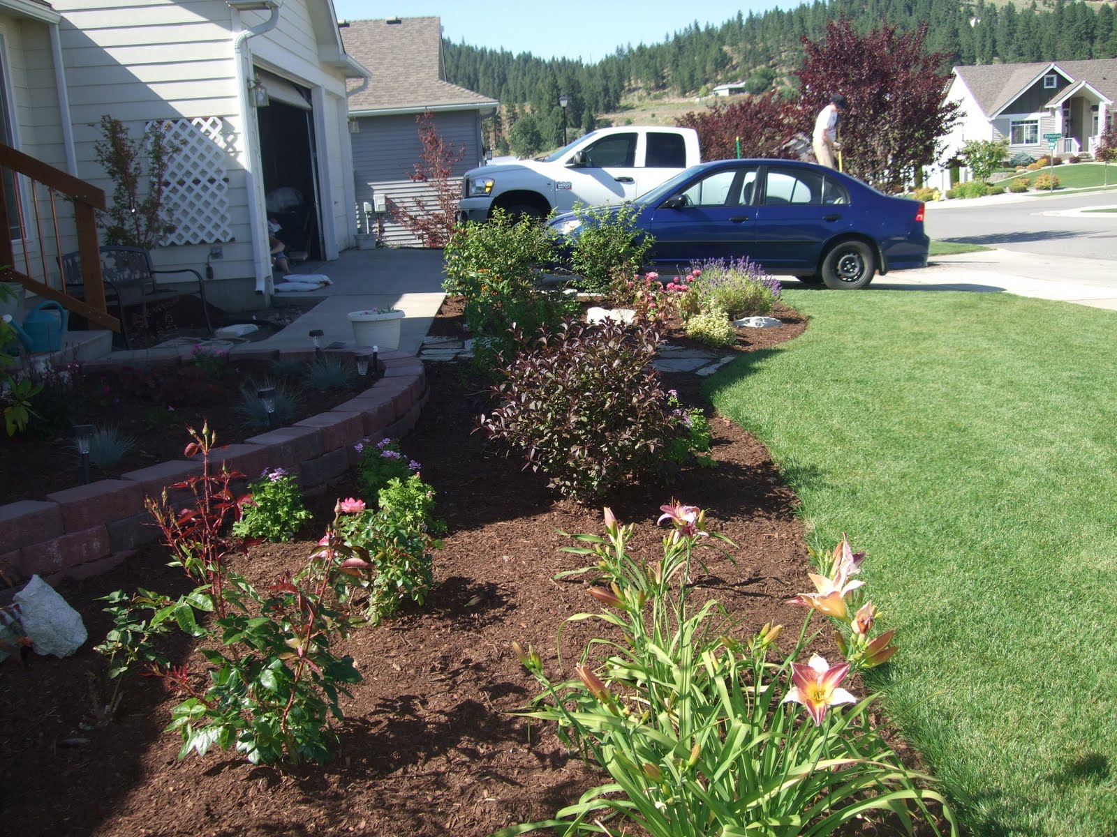 Large Front Yard Landscaping Ideas