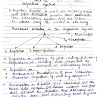 Digestive system (Unit:- 2) :- Hand written notes