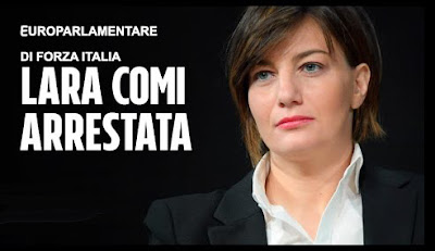 Lara Comi ha Esperienza nel far Ricorso a Schemi Criminosi