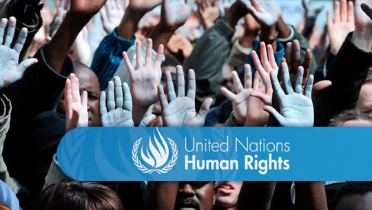 Job alert: Administrative and Finance Assistant - OHCHR