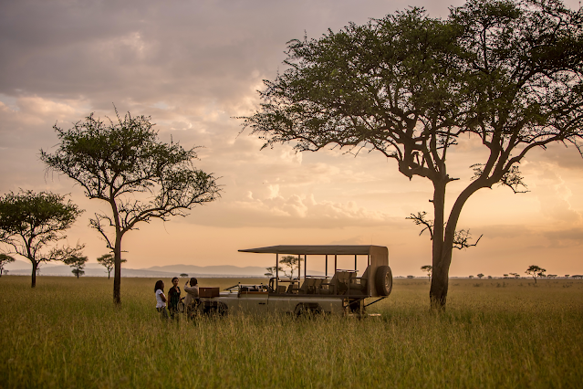 Safari's in Africa - Travel and Trade South Africa