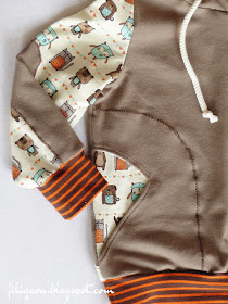 filigarn.blogspot.com - genähtes - Unser treuer Begleiter: Hoodie Seth