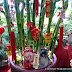 Chinese New Year 2018 Lucky Plants and Flowers and their Symbolism