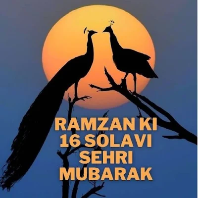 Ramzan_Ki_Solvi_Sehri_Mubarak_Ho_Images,Ramzan_Ki_Sehri_Mubarak_Ho,Images,