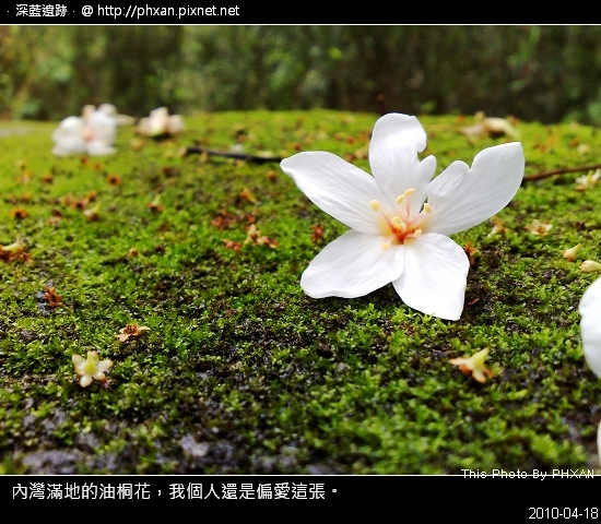 雖然相機還人了，照片只能用手機拍，但這張我覺得還不錯!