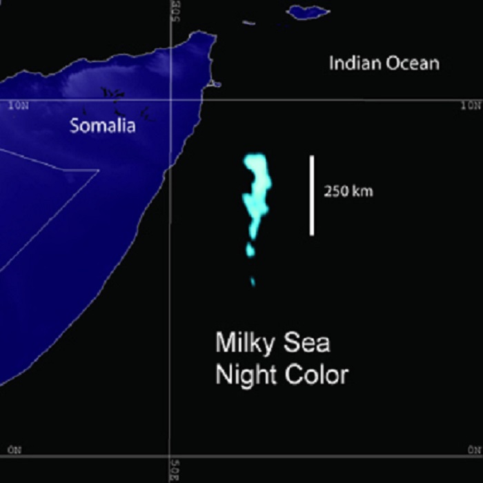 What Is Milky Sea Effect? A Mysterious Glow In The Ocean