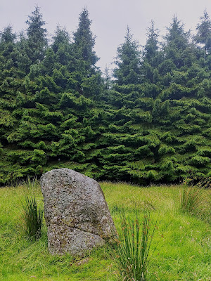 Gortnaglogh Standing Stone in County Laois.