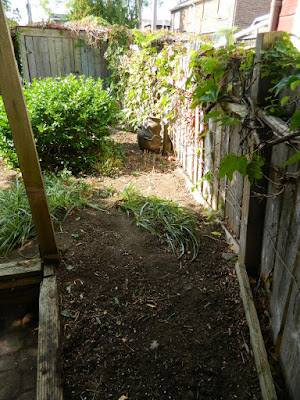 Little Italy Palmerston Toronto Back Yard Garden Cleanup after by Paul Jung Gardening Services