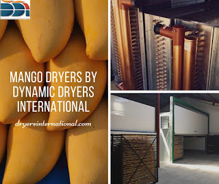 mango dryers