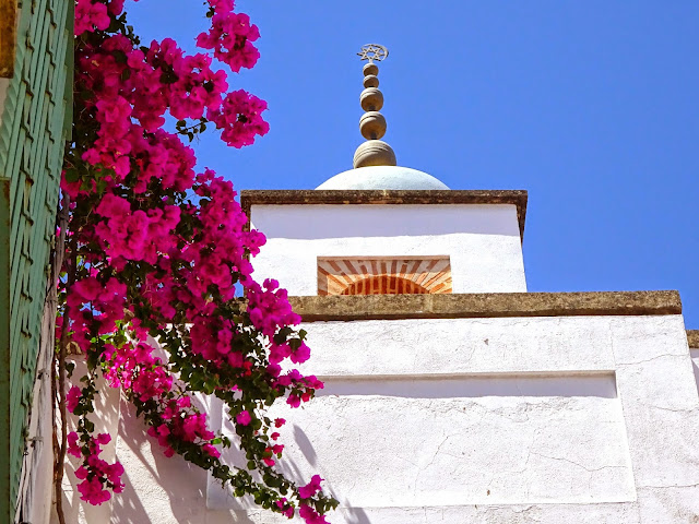 Cordoba dos dias en Córdoba tres días en Córdoba Andalucía Salmorejo vacaciones patios de flores color flower Mayo semana de los patios  