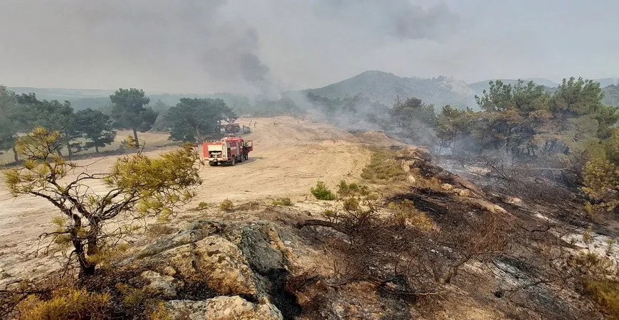 Οριοθετημένη η πυρκαγιά στο Δάσος Δαδιάς - Παραμένουν ισχυρές επίγειες πυροσβεστικές δυνάμεις