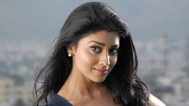 Shriya Saran HD PC Wallpaper