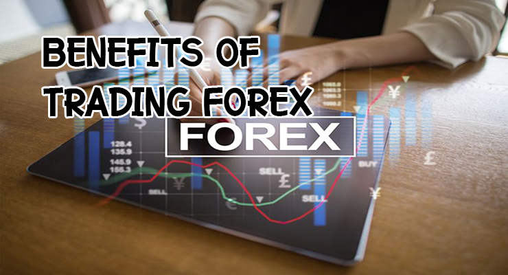 how much is forex trading course