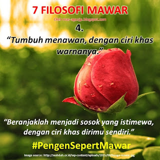  Kata-Kata Bijak Filosofi Mawar