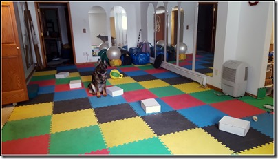 Training Room 1