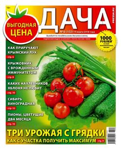 Читать онлайн журнал<br>Дача (№6 2018)<br>или скачать журнал бесплатно