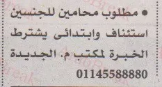وظائف خالية اهرام الجمعه 6 نوفمبر 2020