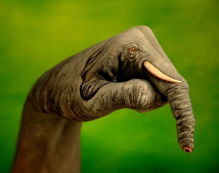 Elephant (Hand Art)