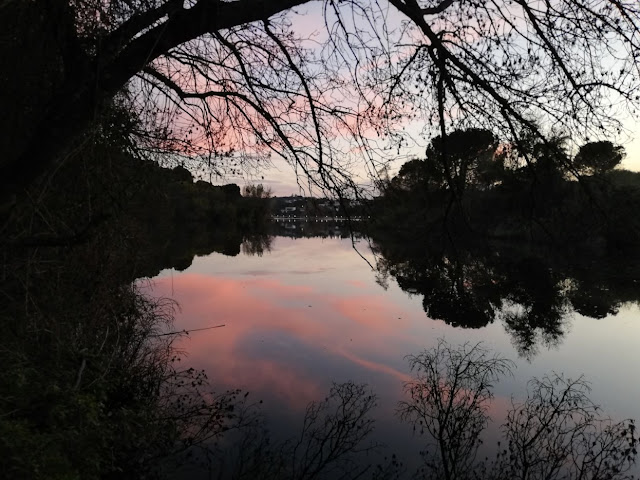 El atardecer en el Lago de Peñascales