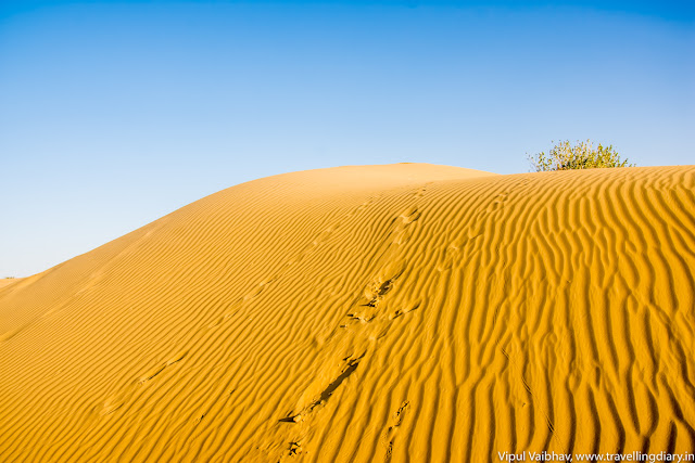 Sand Dunes at Sam, Jaisalmer, Rajasthan.