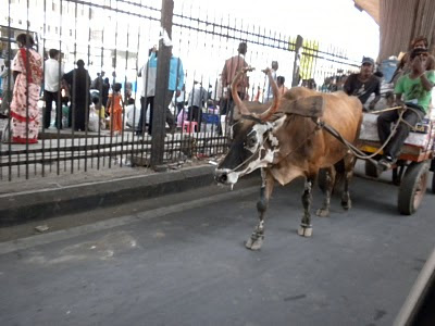 Bangalore, India