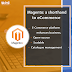 Magento: a shorthand to eCommerce