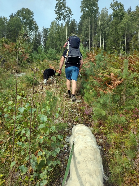 brøgåsen rundt sokna