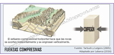 Proceso de las fuerzas compresivas.