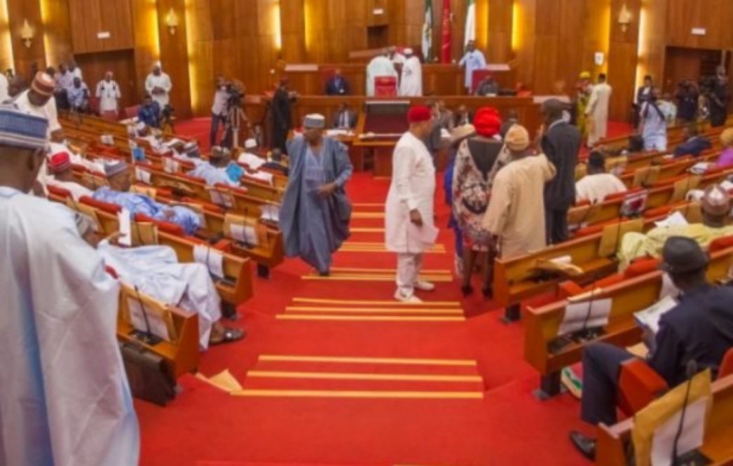 JUST IN: Senate moves to stop JAMB from admitting candidates below 18 years