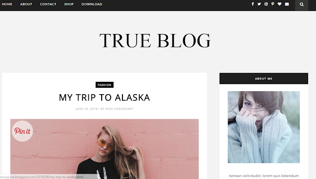 5 Best Blogger Templates For Micro Niche Blog