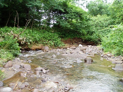 P7280440.jpg