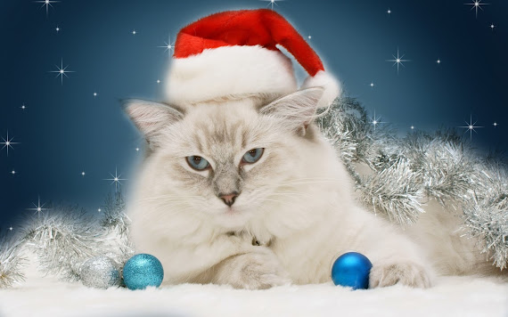 download besplatne pozadine za desktop 2560x1600 slike ecard čestitke blagdani Merry Christmas Božić