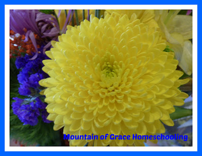 Mountain of Grace Homescholing